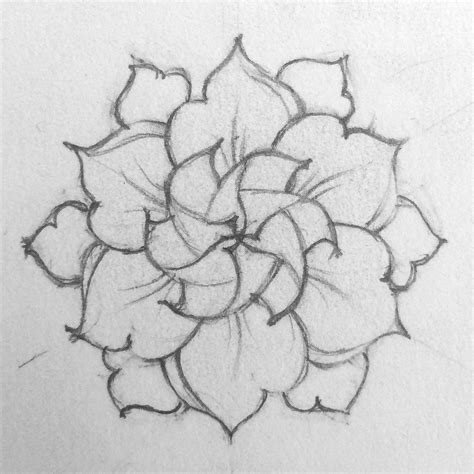 Gardenia Flower Sketch at PaintingValley.com | Explore collection of Gardenia Flower Sketch