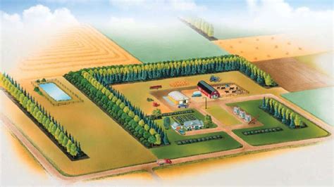 Shelterbelts & Eco-buffers | Wetaskiwin County, AB - Official Website