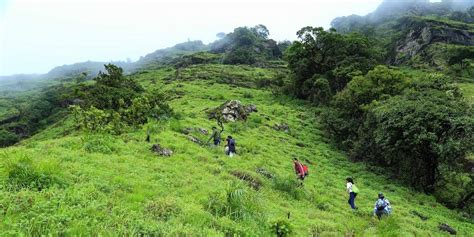 Top 5 treks in and around Chikmagalur - Chikmagalur Tourism