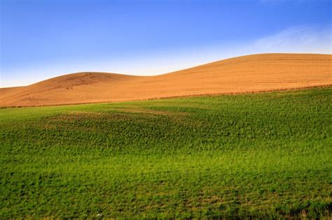 Images Gratuites : paysage, la nature, herbe, le sable, champ, prairie, colline, dune, pâturage ...