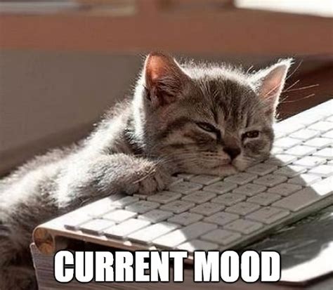 Current Mood Meme Tired | So tired meme, Tired funny, Exhausted humor