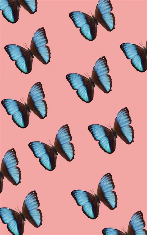 Aesthetic Butterfly Pictures Wallpapers - Wallpaper Cave