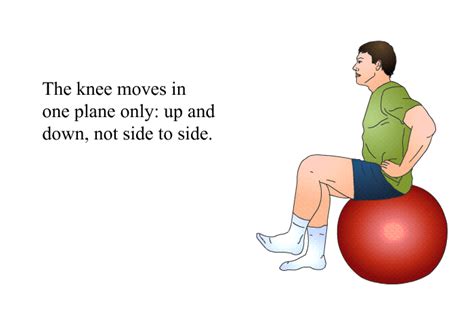 PatEdu.com : Knee Replacement - Physical Therapy