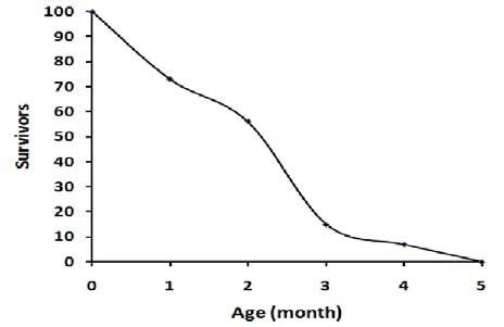 −Survivorship curve for a cohort of 100 individuals of M. auriculatus... | Download Scientific ...