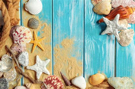 HD wallpaper: assorted shells, sand, beach, tree, mesh, wood, marine, stones | Wallpaper Flare