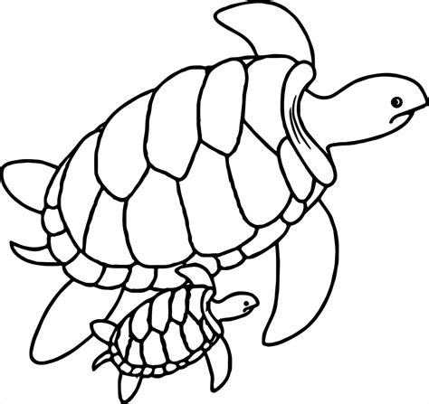 Easy Sea Turtle Drawing | Free download on ClipArtMag