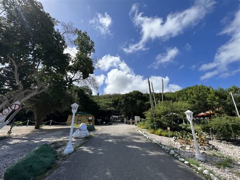 Hato Caves Curaçao: An Otherworldly Adventure! | In Search of Sarah