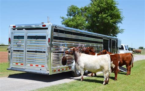 Cattle Trailers - New & Used Livestock Trailers | Transwest