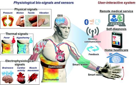 WBSS Homepage - Wearable Biomedical Sensors & Systems (WBSS)