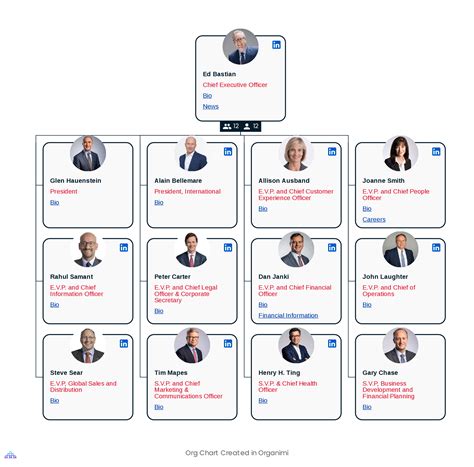 Delta's Organizational Structure [Interactive Chart] | Organimi