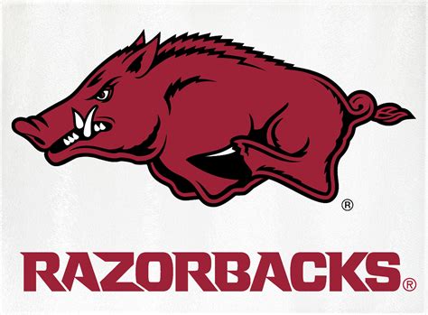 Arkansas Razorback Images Free Download And Use 10+ Arkansas Razorbacks ...