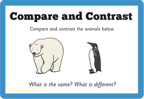 What is Contrast in Writing? - Answered - Twinkl Teaching Wiki