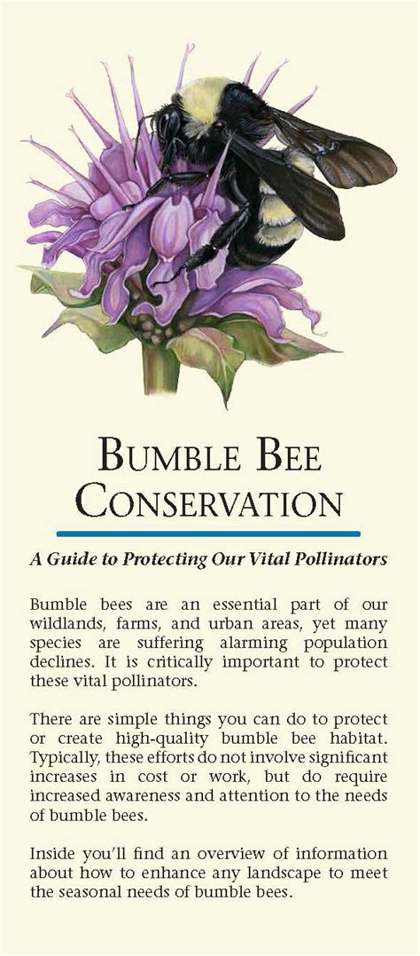 Bumble Bee Conservation | Xerces Society