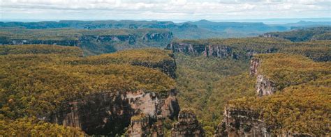 Carnarvon Gorge, Carnarvon National Park | Parks and forests ...