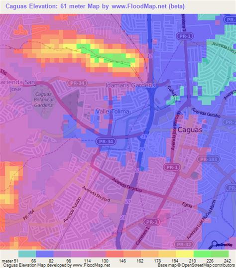 Elevation of Caguas,Puerto Rico Elevation Map, Topography, Contour