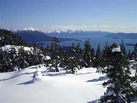 Northwest Explorer: Juneau Alaska Winter Trails