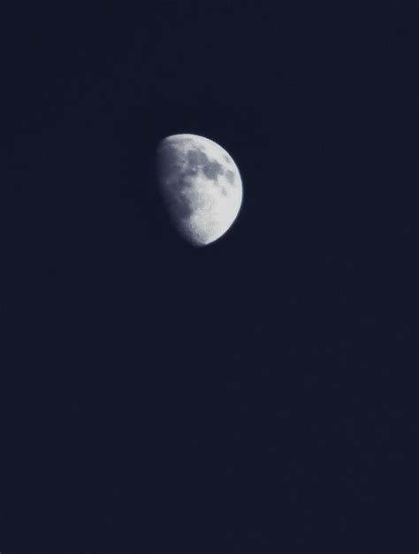 Pale Moon Photograph by Luma Studio designs - Fine Art America