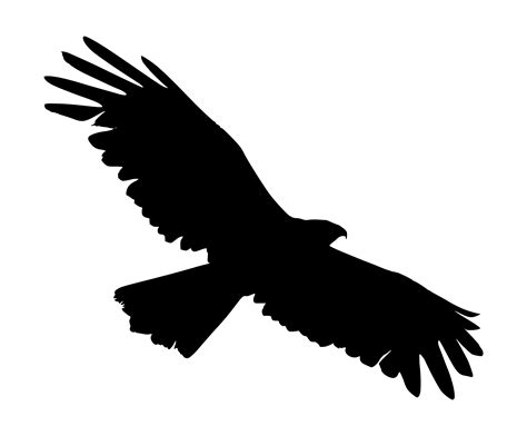 Flying Eagle Silhouette PNG Transparent SVG Vector | OnlyGFX.com