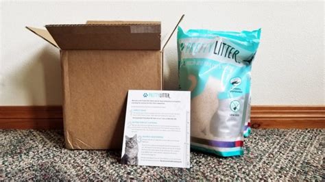 An Honest Review of Pretty Litter Cat Litter | iPetCompanion