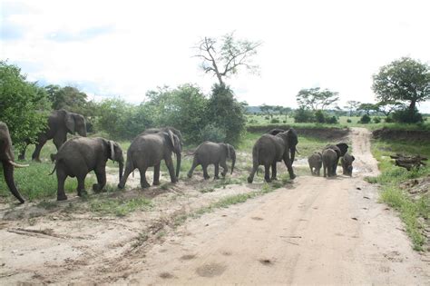 Tarangire National Park