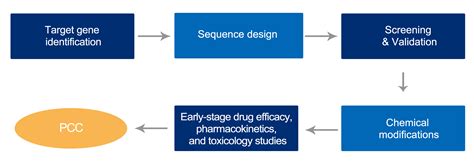 Applications-Oligonucleotide Drug Synthesis - Gencefebio