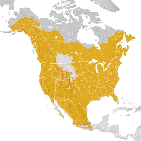 Ruby-crowned Kinglet - Range map: Pre-breeding migration - eBird Status and Trends