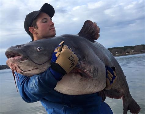 North Carolina Angler Catches Two Record Catfish in Two Days | OutdoorHub