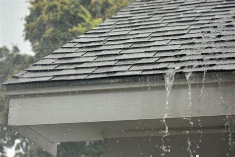 Why You Need to Consider Shingle Starter™ for your Shingled Roof Installation — MFM Building ...