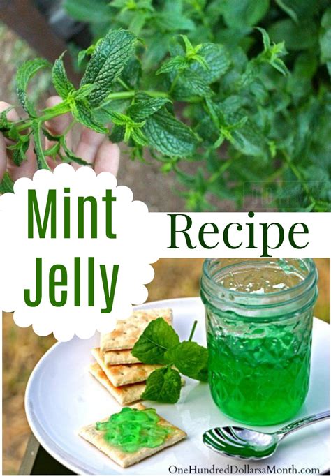 Mint Jelly Recipe - One Hundred Dollars a Month