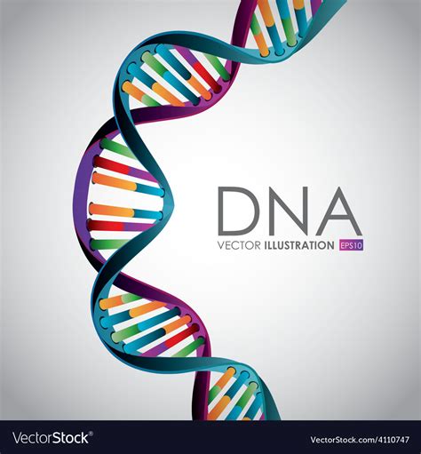 Dna design Royalty Free Vector Image - VectorStock