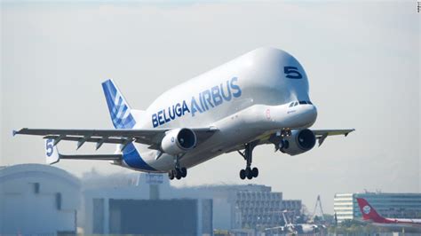 Airbus' Beluga: Giant of the skies set to get even larger