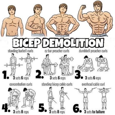 Top 5 muscle building exercises - #building #Exercises #muscle #Top ...