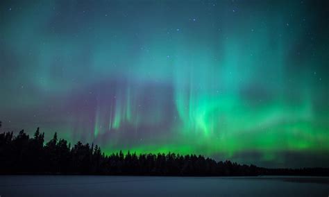 Magnificient Northern Lights - Arctic TreeHouse Hotel