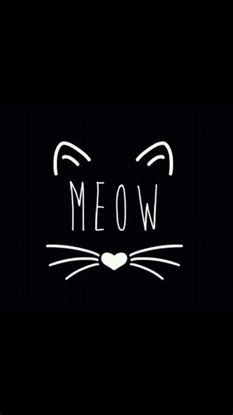 Meow Wallpapers - Wallpaper Cave