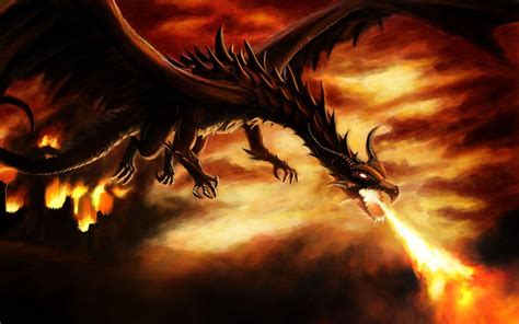 Fire Dragons Wallpapers - Wallpaper Cave