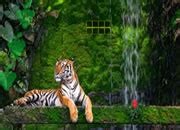 Escape From Tiger Forest | Flash512