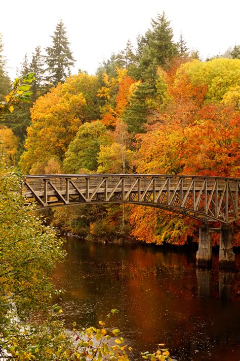 Photo Friday: Autumn Is So Beauti-fall In Perthshire – An Orcadian Abroad