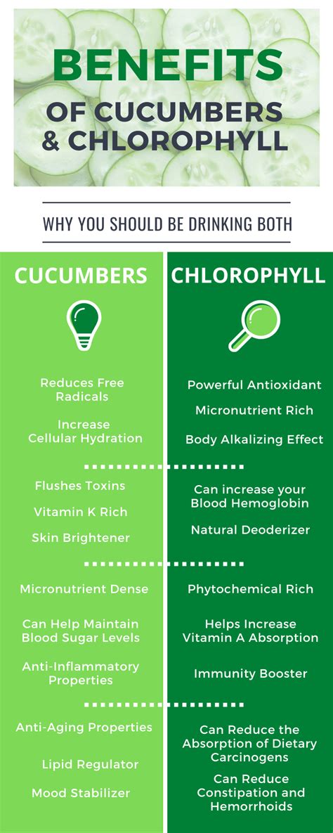 How to Make Cucumber & Chlorophyll Juice 101 — Mud Puddles & Motherhood