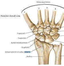 Pin on Hand pain