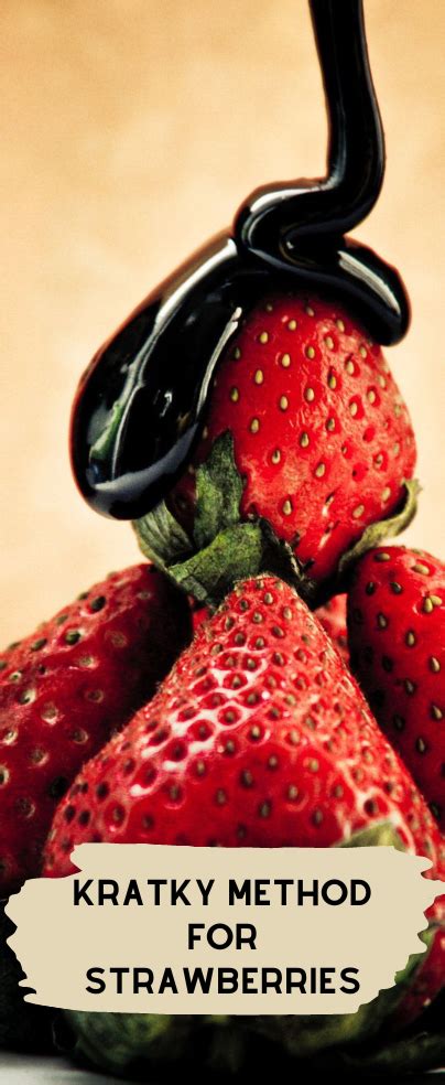 Kratky Method For Strawberries | Growing strawberries, Hydroponic strawberries, Hydroponics system