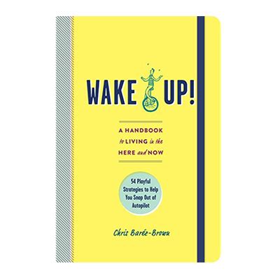 Podcast 645: Wake Up, A Handbook to Living in the Here and Now with Chris Barez-Brown | Inside ...