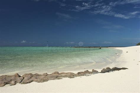 Pristine White Sandy Beach with Rocks at Herron Island Stock Image - Image of beach, wood: 54294643