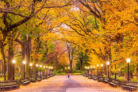 Central Park Autumn Stock Photo by SeanPavone | PhotoDune