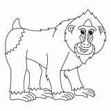 Premium Vector  Mandrill Animal Isolated Coloring Page For Kids sketch template