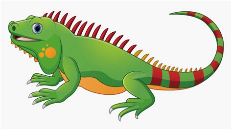 Lizard Chameleons Green Iguana Reptile - Iguana Clipart Png ...