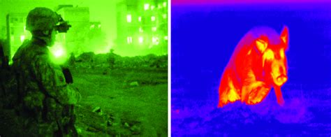 Thermal Scope vs Night Vision | The Weapon Blog