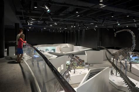 Houston Museum of Natural Science Expansion - What We Build | Linbeck Group