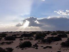 Category:Corralejo Natural Park - Wikimedia Commons