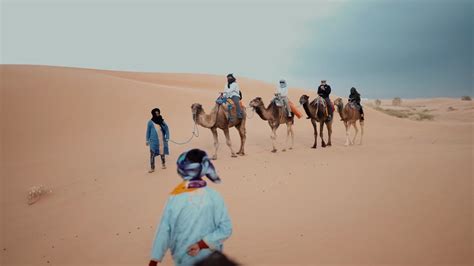 Camel Trekking in Morocco's Sahara : r/VisitMarrakech