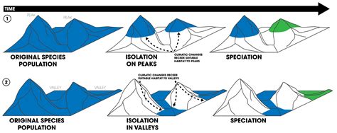 What is the Difference Between Allopatric and Peripatric Speciation | Compare the Difference ...